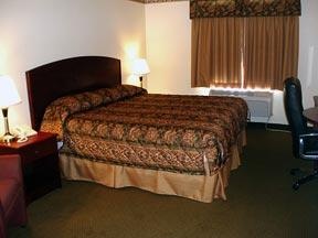 Comfort Inn & Suites - 