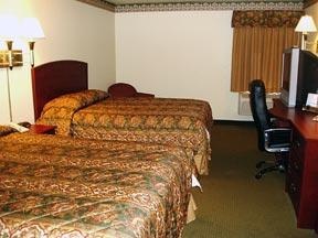 Comfort Inn & Suites - 