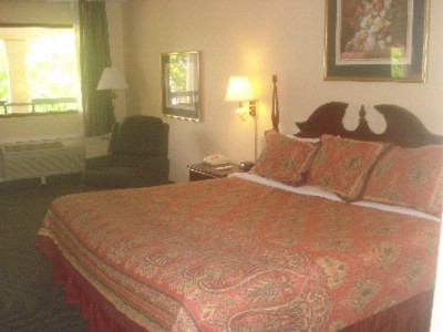 Best Western Peachtree City Inn & Suites - Room With King Size Bed