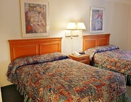 La Quinta Inn Cypress Creek - Standard Room 2-double Beds