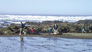 Best Western Lincoln Sands Suites - Tide Pools