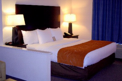 Comfort Suites Gastonia - King Suite