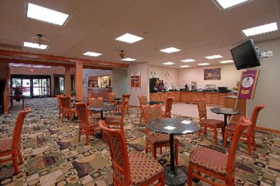 Comfort Suites - 