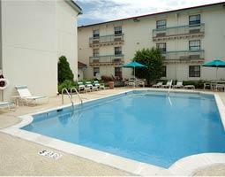 Swiming Pool