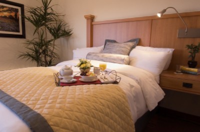 Wyndham Garden Hotel - 