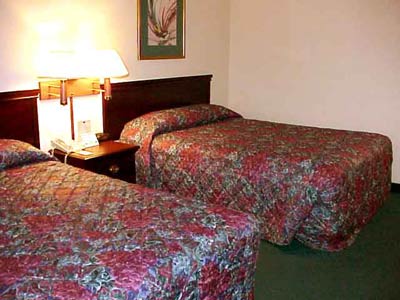 Queen Beds