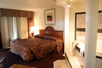 Jacuzzi Suite King Non Smoking.