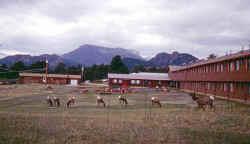 Travelodge Inn & Suite Estes Park - 