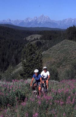 Togwotee Mountain Lodge - Mountain Biking