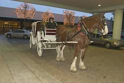 Hilton Ocala - 