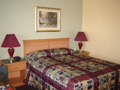 Tulip Inn - Room Picture