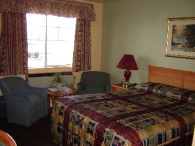 Tulip Inn - Room Picture