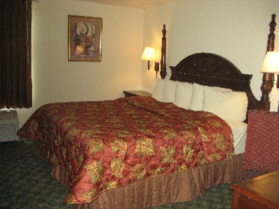 Lots Of Pillows