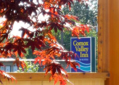 Comox Valley Inn & Suites - 