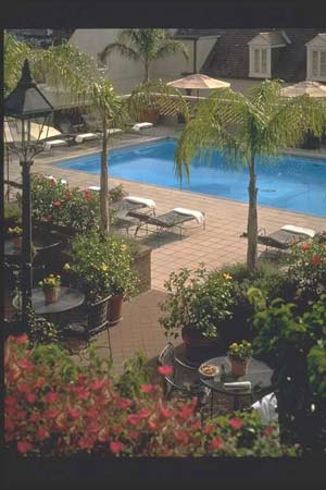 Royal Orleans Roof-top Pool