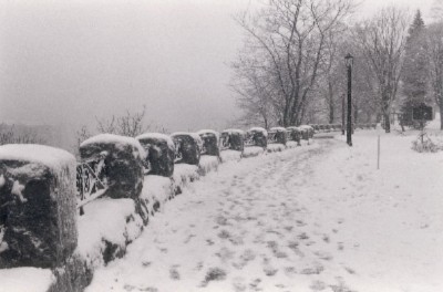 Comfort Inn The Pointe - Winter In The Park