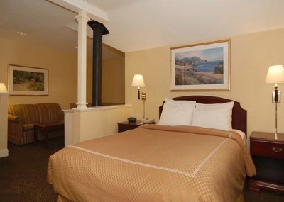 Comfort Suites - 