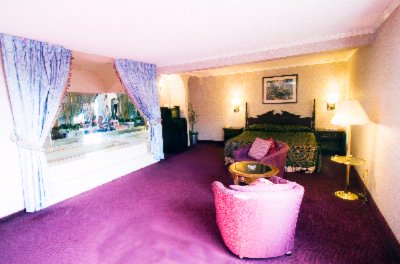 Brookhurst Plaza Inn - 
