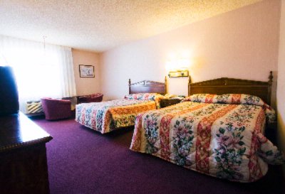 Brookhurst Plaza Inn - Standard Room With 2 Double Size Beds