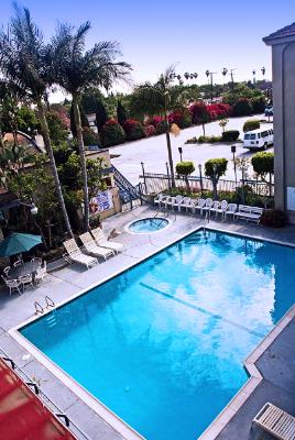 Brookhurst Plaza Inn - Large Outdoor Pool And Jacuzzi.
