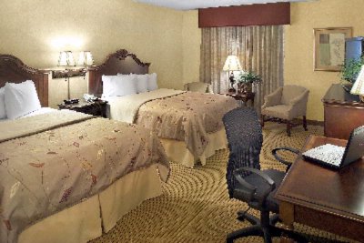 Best Western Frontier - Newly Remodeled Guest Room