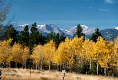 Ymca of The Rockies - Refreshing Mountain Scenery