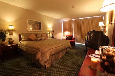 Ramada Love Field - Emerald Theme Room