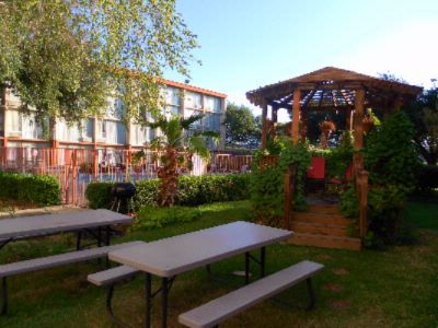 Ramada Love Field - Outdoor Swimming Pool View 3