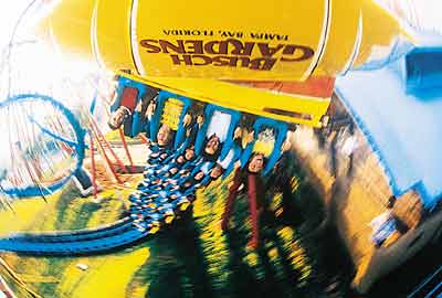 Busch Gardens Is Closeby