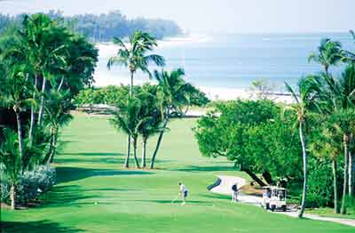 Executive & Professional Golf Courses