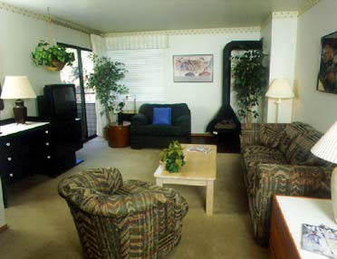 Lakeland Village Beach & Mountain Resort - Typical 1-Bedroom Suite in the Lodge