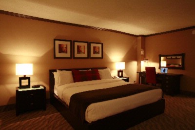 L'hotel De La Montagne - Contemporary Deluxe Room With King Size Bed