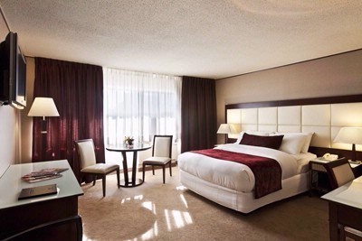L'hotel De La Montagne - Contemporary Deluxe Room With Queen Size Bed