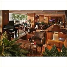 Scenes Lounge