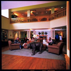 Relax In Our Lobby
