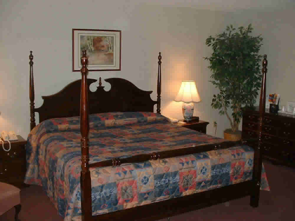 Comfort Inn by The Galleria - Guest Room