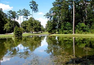 Covington Courtyard - Pond With Ducks Fish And Turtles