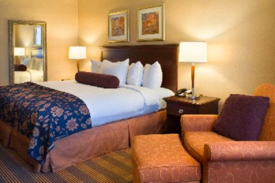 Hilton Providence - Newly Renovated Guestroom - Queen