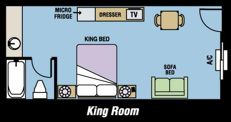 1 king bed 1 pull out sofa room