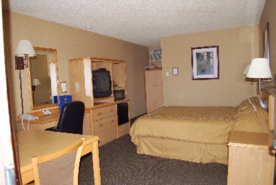 Best Western Black Bear Inn - Room With One Bed Pet Friendly