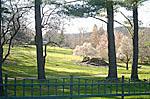 Berkshire Landscape