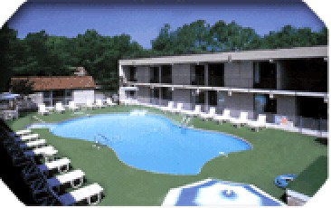 Relaxing Outdoor Pool