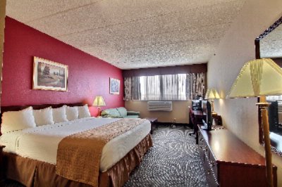 Best Western Executive Inn - King W/sleeper Sofa