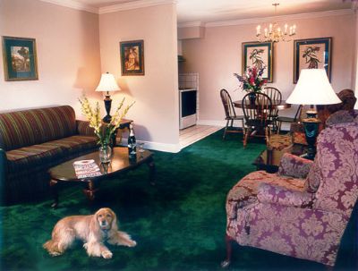 Typical One Bedroom Deluxe Suite