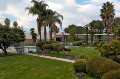 Ramada Silicon Valley - Garden Courtyard
