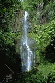 Maui Tradewinds - Explore nearby rainforest and waterfalls