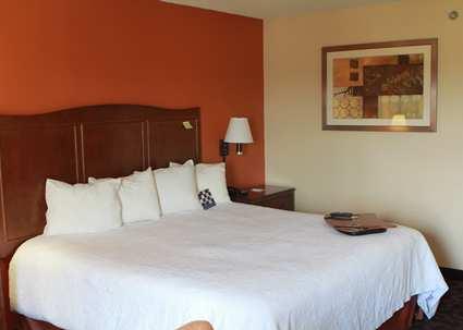 Double Bedded Room