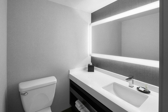 Crystal City Marriott - 