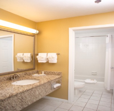 Deluxe Room Bathroom Area