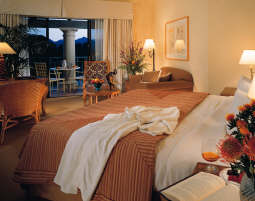 Guestroom View King Bed